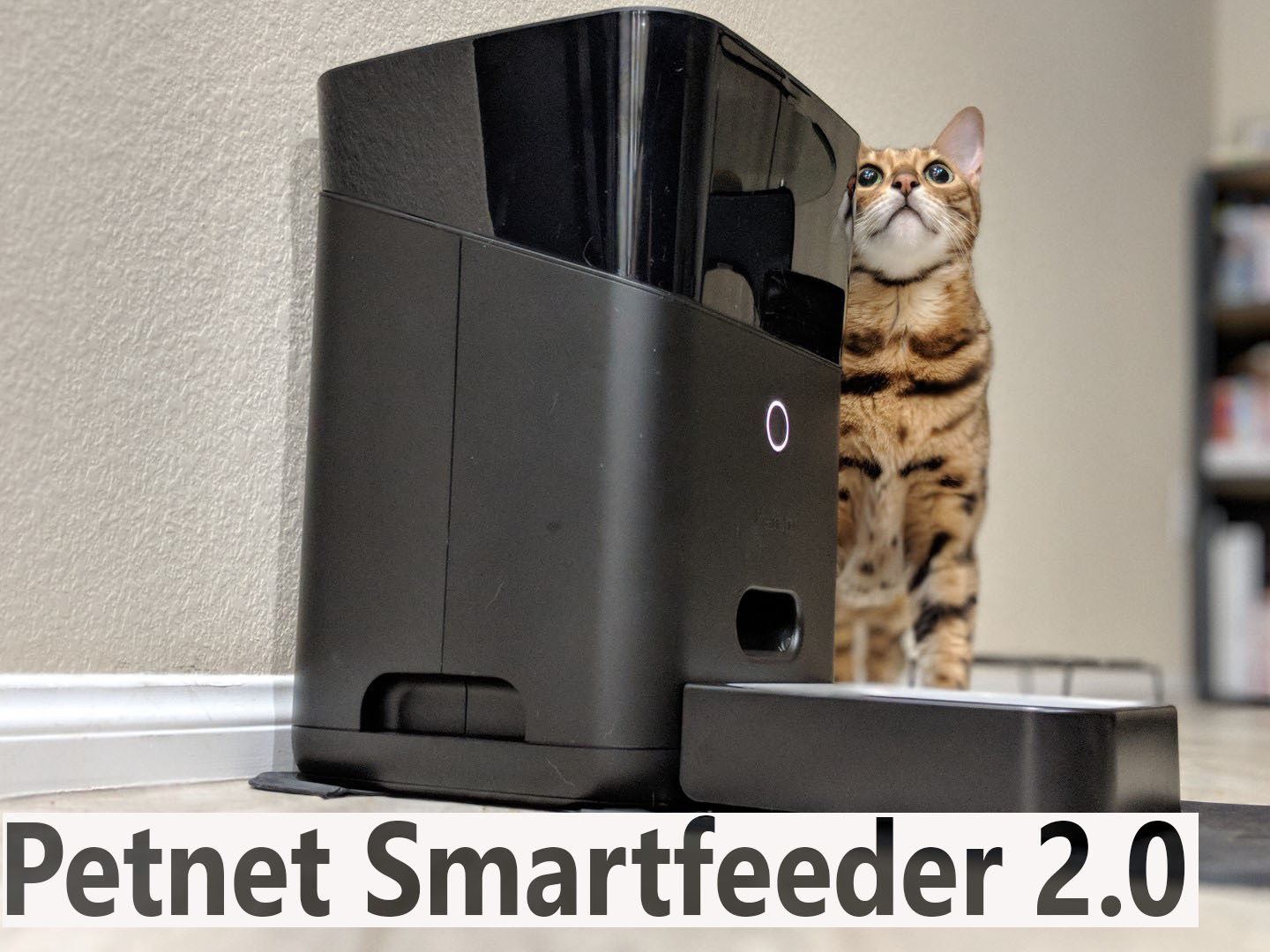 Petnet feeder outlet