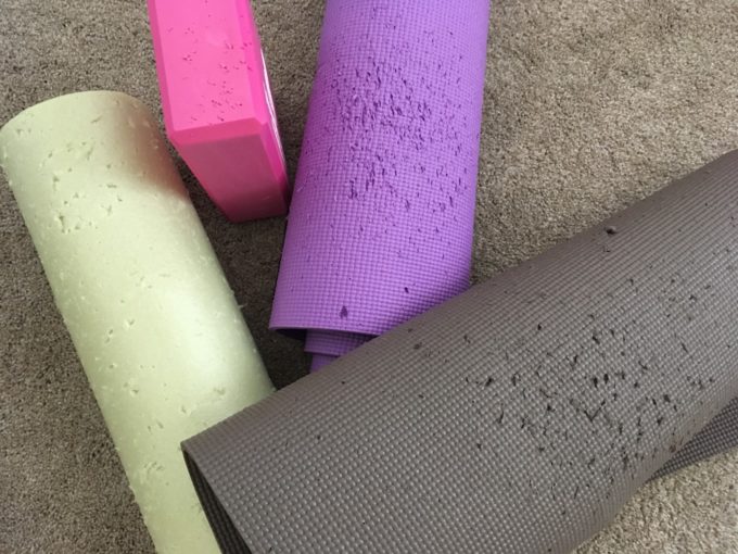 Why Do Bengal Cats Scratch Everything? BlindBengal